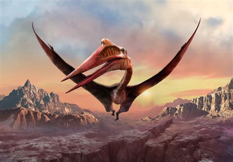  ¿El Quetzalcoatlus: un gigante volador prehistórico que desafiaba las leyes de la gravedad?